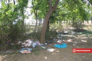 Новости » Общество: Городские власти нашли в Керчи стихийные свалки и собираются с ними бороться