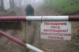 В Крыму до конца сентября закрыли леса для посещения