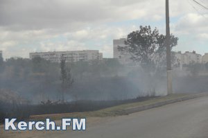 Новости » Криминал и ЧП: В Керчи на Ворошилова горела сухая трава