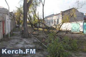 Из-за урагана в Керчи без света остались 600 абонентов
