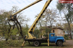 Новости » Общество: В Керчи во дворах жилых домов обрезают деревья