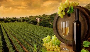 Виноделы Крыма и Кубани выпустят партию вина «Крымский мост»