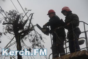 Новости » Общество: В Керчи все ещё ликвидируют последствия урагана