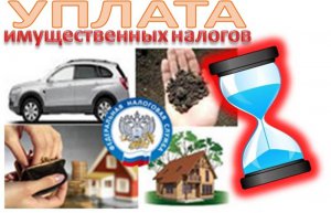 Новости » Общество: У крымчан есть год на уплату имущественных налогов