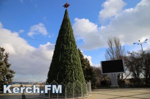 Новости » Общество: В Керчи главная елка готова к зажжению