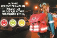 Новости » Общество: В Крыму проходит операция «Пешеход! Стань заметным на дороге»