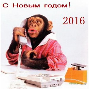 Блоги » Блог редакции: С Новым годом, дорогие читатели Керчь.ФМ!
