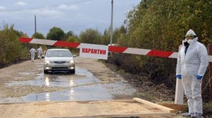 Крым ввел карантинные меры на границе из-за вспышки гриппа в Украине