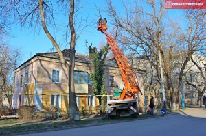 Новости » Общество: В Керчи коммунальщики обрезают деревья