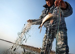 Новости » Общество: Крымских рыбаков наштрафовали уже на 12 млн рублей