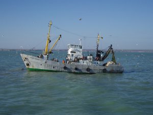 Крымские рыбаки в январе выловили почти 5 тыс. тонн рыбы