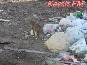 В Керчи жилой микрорайон завален мусорм - керчане