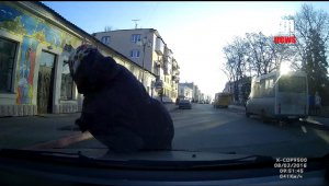 В Керчи пожилая женщина бросилась под колеса машины (видео)