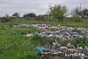 Новости » Общество: До 1 июля предприятия, работающие с мусором, должны получить лицензию