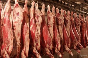 Перерабатывать «больную» свинину на колбасу не будут