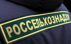 Новости » Общество: Россельхознадзор не пустил в Крым тонны продуктов