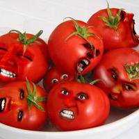 Новости » Общество: В Керчи похоронили турецкие помидоры