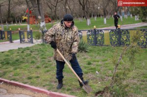 Новости » Общество: В Керчи прошел всекрымский субботник