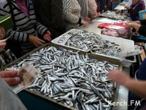 Новости » Общество: В Крыму планируют открыть рыбную биржу