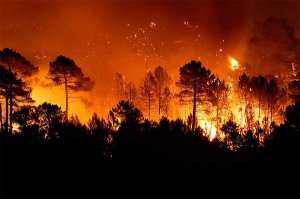 В Крыму весной ожидается высокий риск лесных пожаров