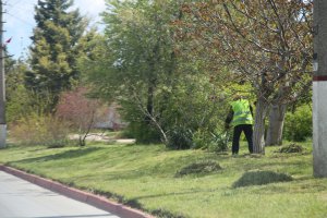 В Керчи на скос травы на обочинах потратят 2 млн рублей