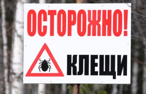 Крым обеспечен вакциной от клещевого энцефалита, - Минздрав Крыма