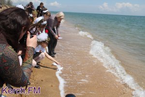 Качество морской воды в Крыму не вызывает опасений, - минэкологии