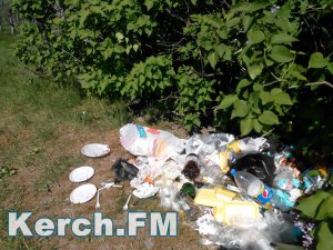 В Приморском парке Керчи из убранного мусора образовали свалку