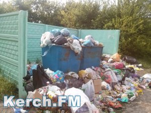 Новости » Общество: У жителей Стройгородка вторую неделю не вывозят мусор