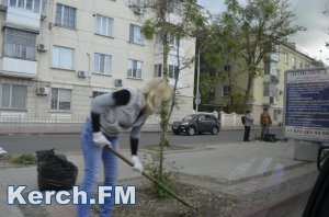 Новости » Общество: В Керчи проходит День чистоты