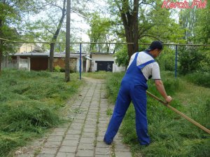 Ты репортер: Керчане жалуются, что во дворах не косят траву