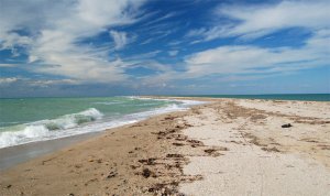 Аксенов обещает посадить всех, кто будет воровать песок с крымских пляжей