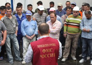 Новости » Общество: В Крыму более 35 тыс человек работают нелегально