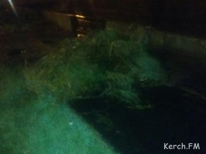 После очистки речки Мелек-Чесме в Керчи остались кучи мусора