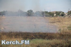 Новости » Общество: В Крыму с 19 по 26 июня ожидается чрезвычайная пожарная опасность