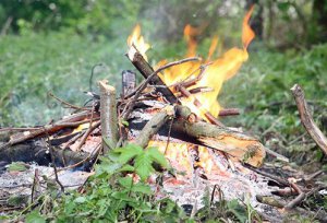 Новости » Общество: Крымчанам запретили пикники в лесах