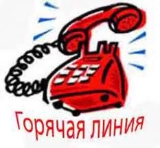 Новости » Общество: Керчане могут звонить на телефон горячей линии администрации круглосуточно