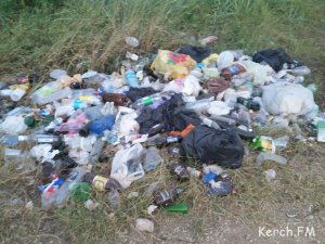 Керчане жалуются на грязный городской пляж