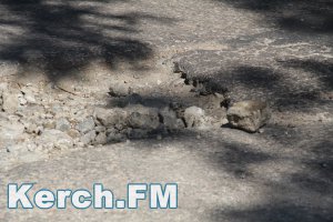 Новости » Общество: В Керчи ямы возле аэропорта приходится объезжать по «встречке»