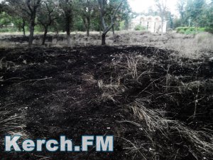 В Приморском парке Керчи опять горели трава и деревья