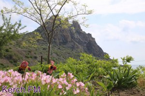 Новости » Общество: В Крыму введут платные услуги еще на ряде заповедных территорий