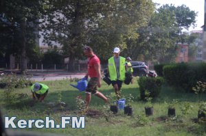 Новости » Общество: В Керчи на Горьковском кольце высаживают розы