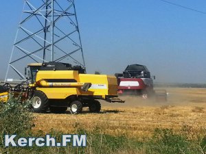 Крым обещают обеспечить зерном на будущий год в полном объёме