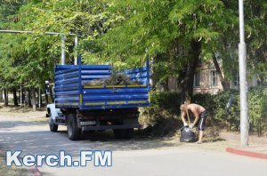 Новости » Коммуналка: Коммунальщики Керчи наводят порядок на  Бульваре Пионеров