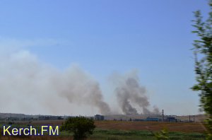 Новости » Криминал и ЧП: В Керчи горела степь на выезде из города