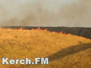 Ты репортер: В разных районах Керчи горит сухостой