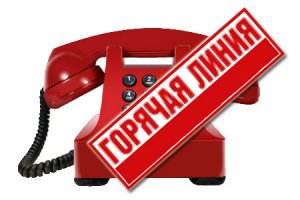 Новости » Общество: В Керчи работает телефон горячей линии «Вежливый Крым»