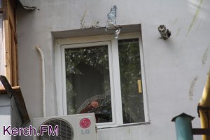 Новости » Общество: В Керчи тополь упал на жилой дом