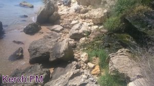 Новости » Общество: В Крыму из-за жары ухудшилось качество морской воды
