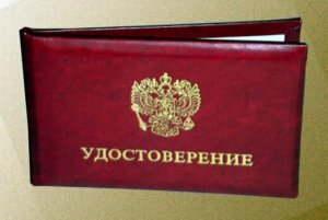 Аксёнов и Поклонская получили удостоверения кандидатов в депутаты Госдумы